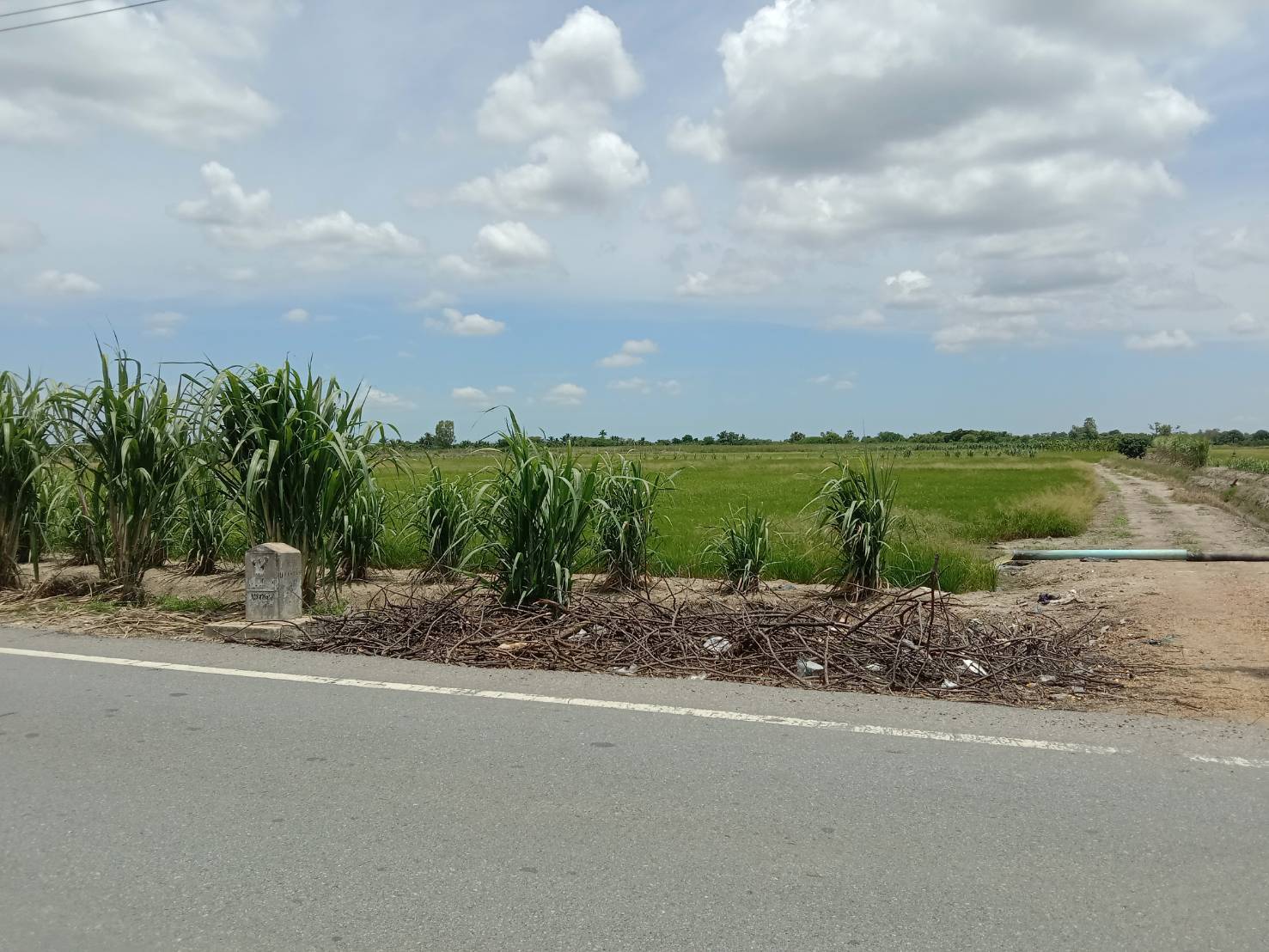 ขายที่ดิน ที่นาแปลงใหญ่ เมืองนครปฐม 154-3-5