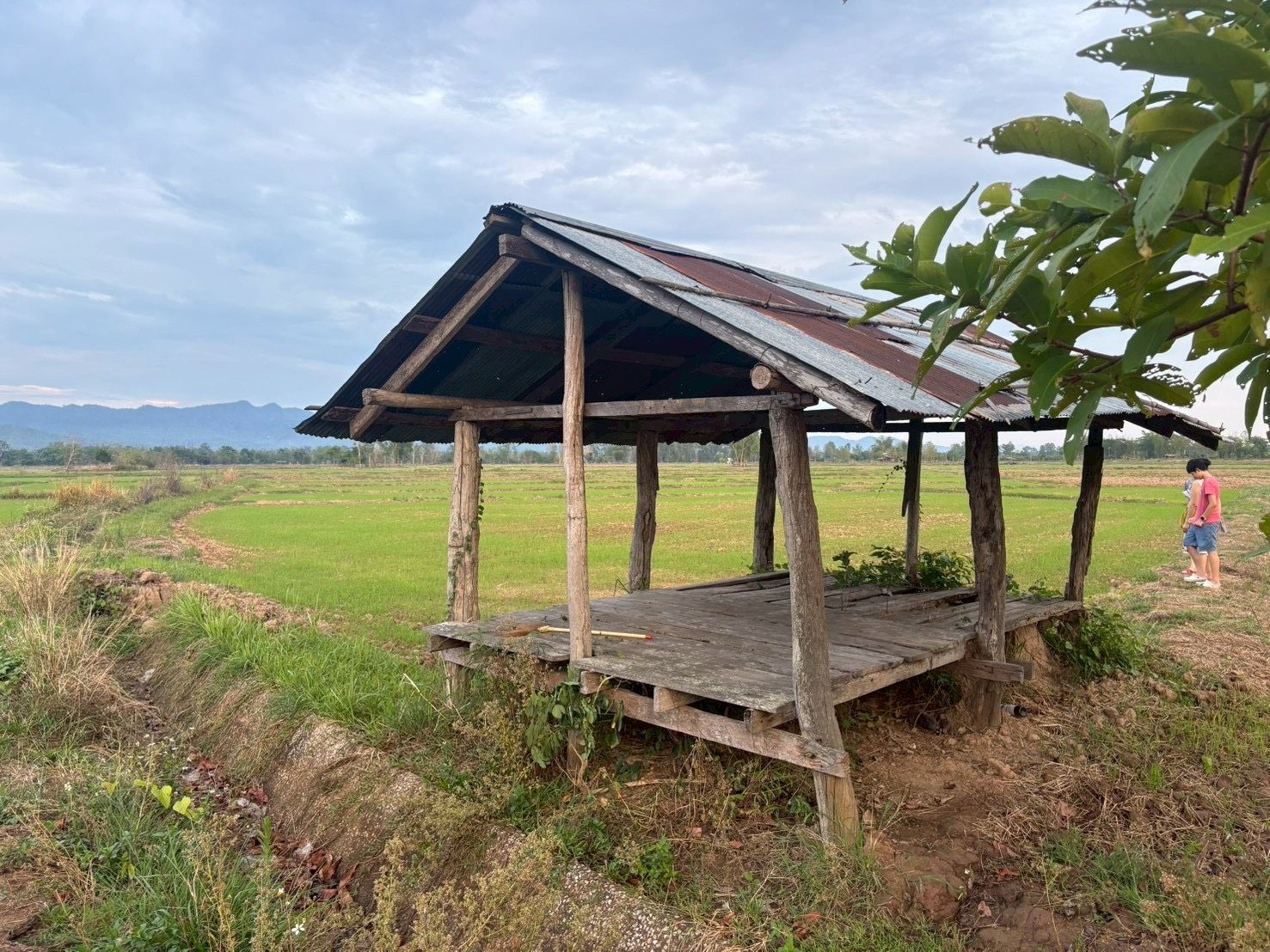 ขายที่นา วิวภูเขา