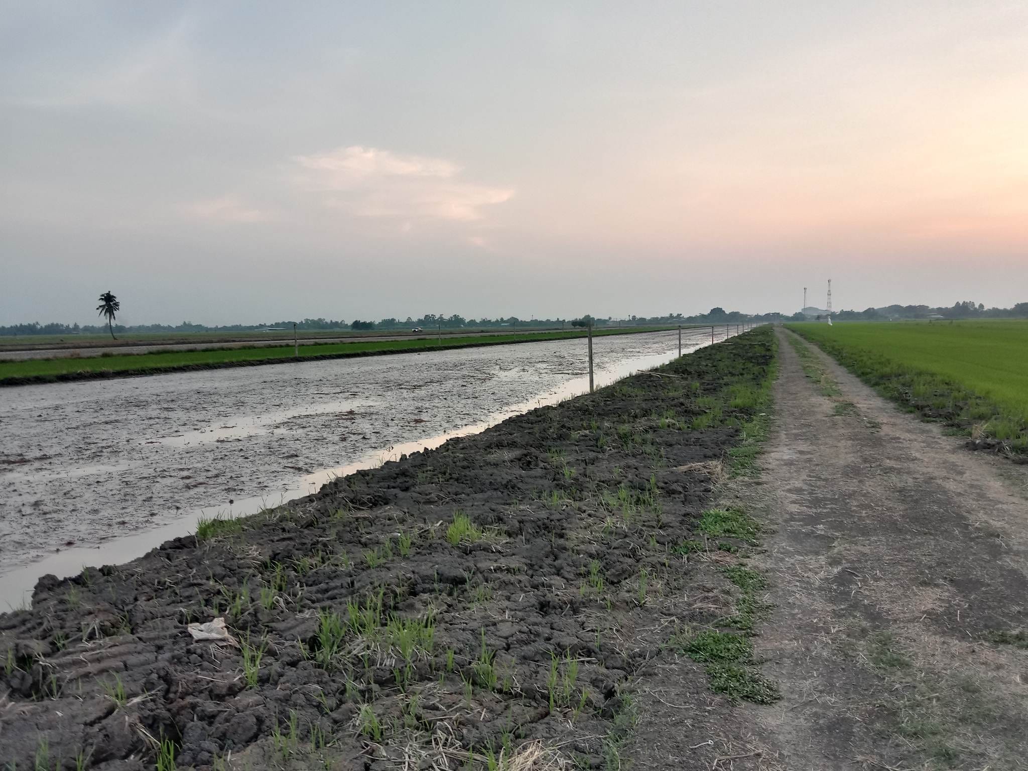 ที่ดินแบ่งขาย เริ่มที่ 1.6 ล้านบาท หนองเสือ ปทุมฯ 