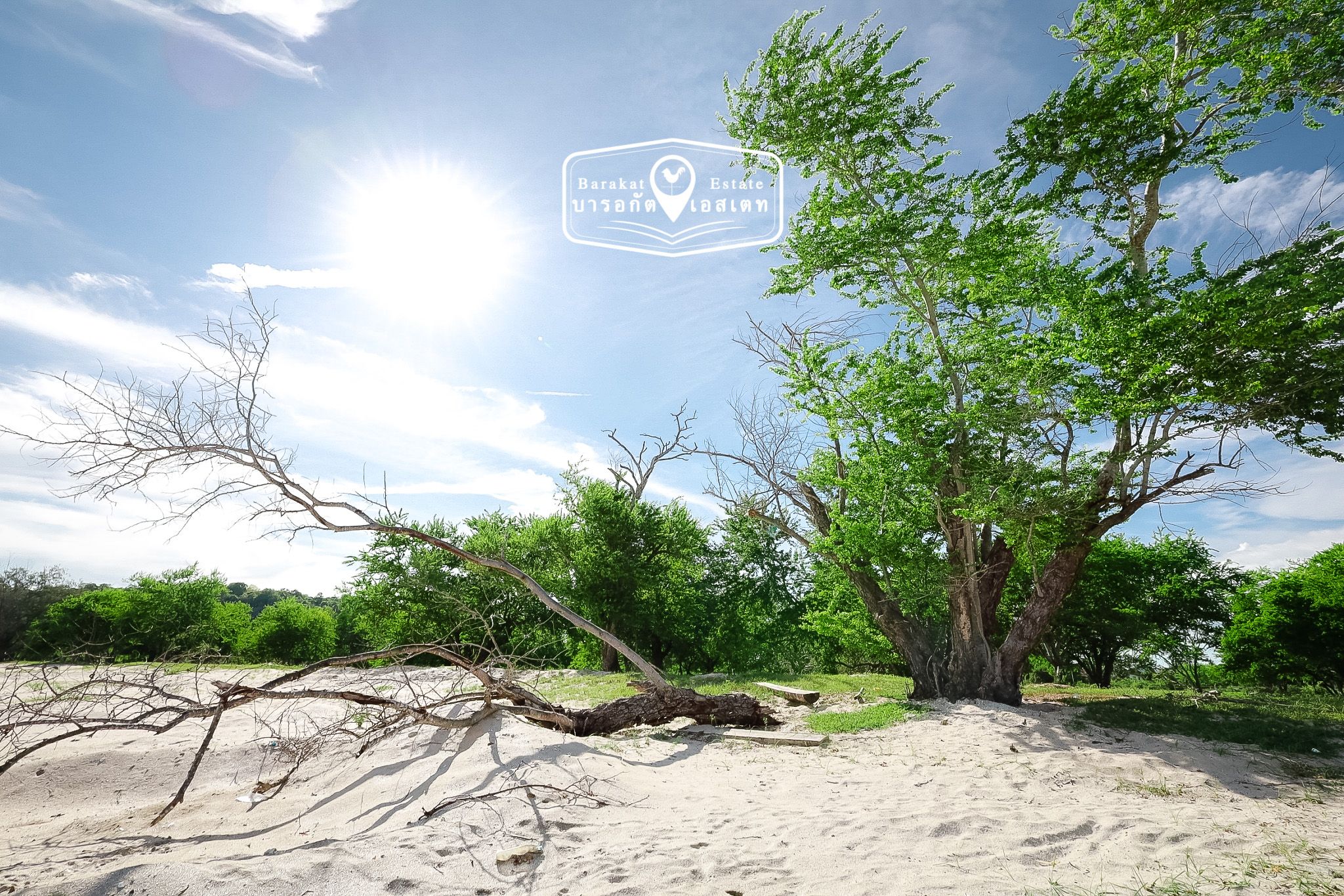 ที่สวยติดชายทะเล ชายหาดส่วนตัว หน้ากว้า 390 เมตร  เหมาะสำหรับสร้างโรงแรม บ้านพักตากอากาศ รีสอร์ท แบ่งล็อคขายเพื่อเพิ่มมูลค่า หรือซื้อเก็บไว้เพื่อทำกำไรได้