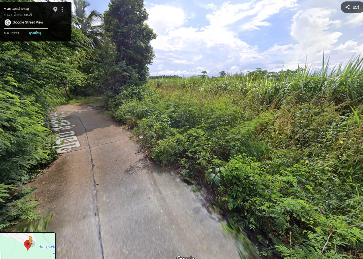 ขายที่ดินลพบุรี พัฒนานิคม ที่ดินทำเลดี มีทางเข้า-ออก สาธารณูปโภคเข้าถึง 36-0-28 ไร่.