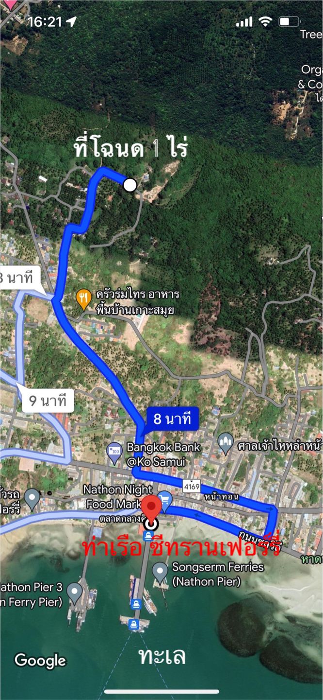 ขายที่ดิน บนเกาะสมุย
