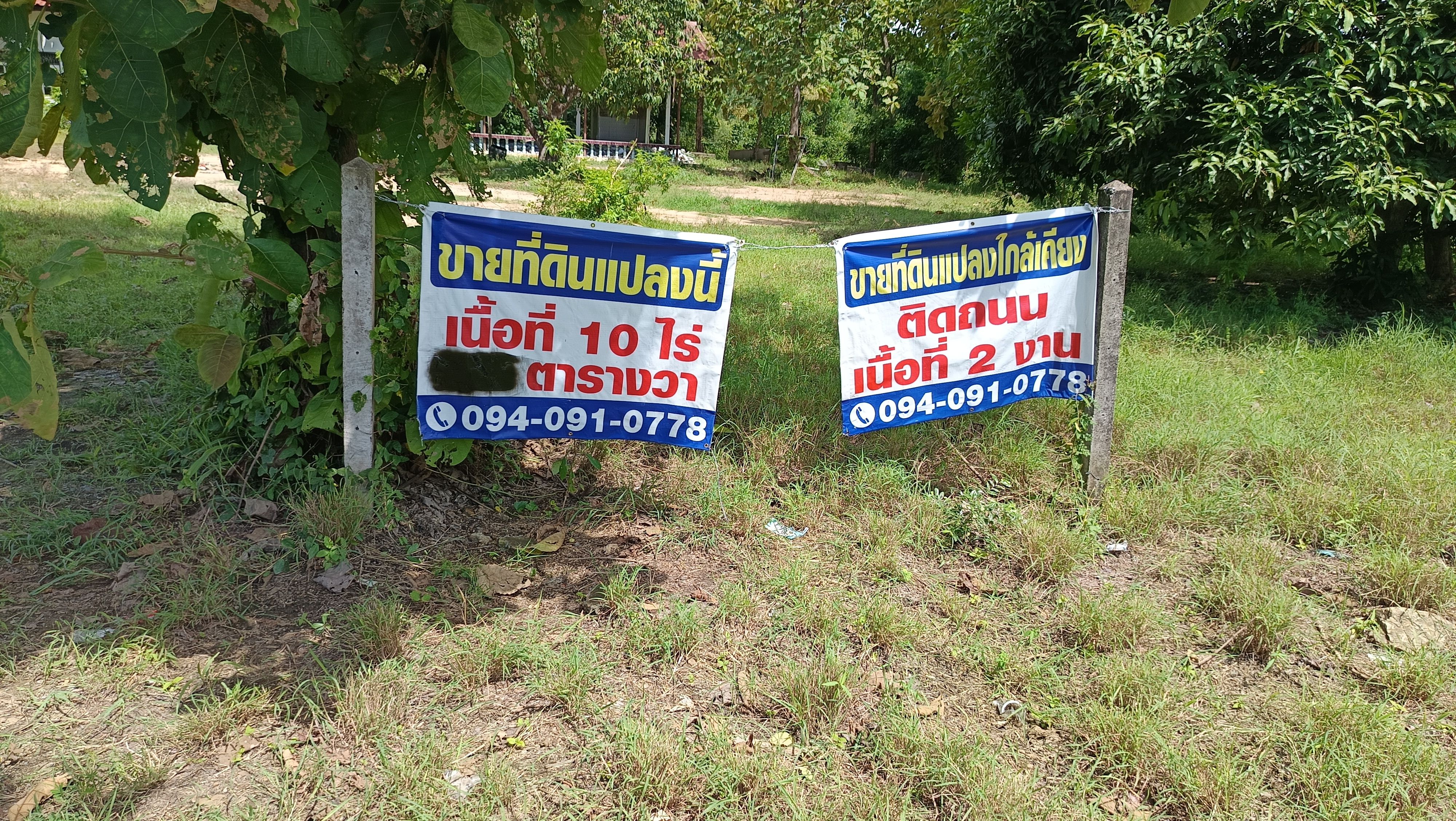 ขายที่ดินพิจิตร อำเภอโพทะเล เนื้อที่ 9 ไร่ 3งาน 43 ตารางวา ติดถนนสาธารณะ น่าลงทุน