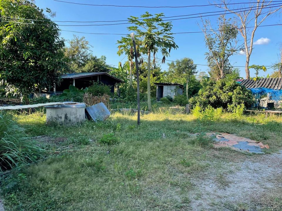 ที่ดินเปล่าแบ่งขาย ห้วยสัก อ.เมืองเชียงราย จ.เชียงราย 2 งาน