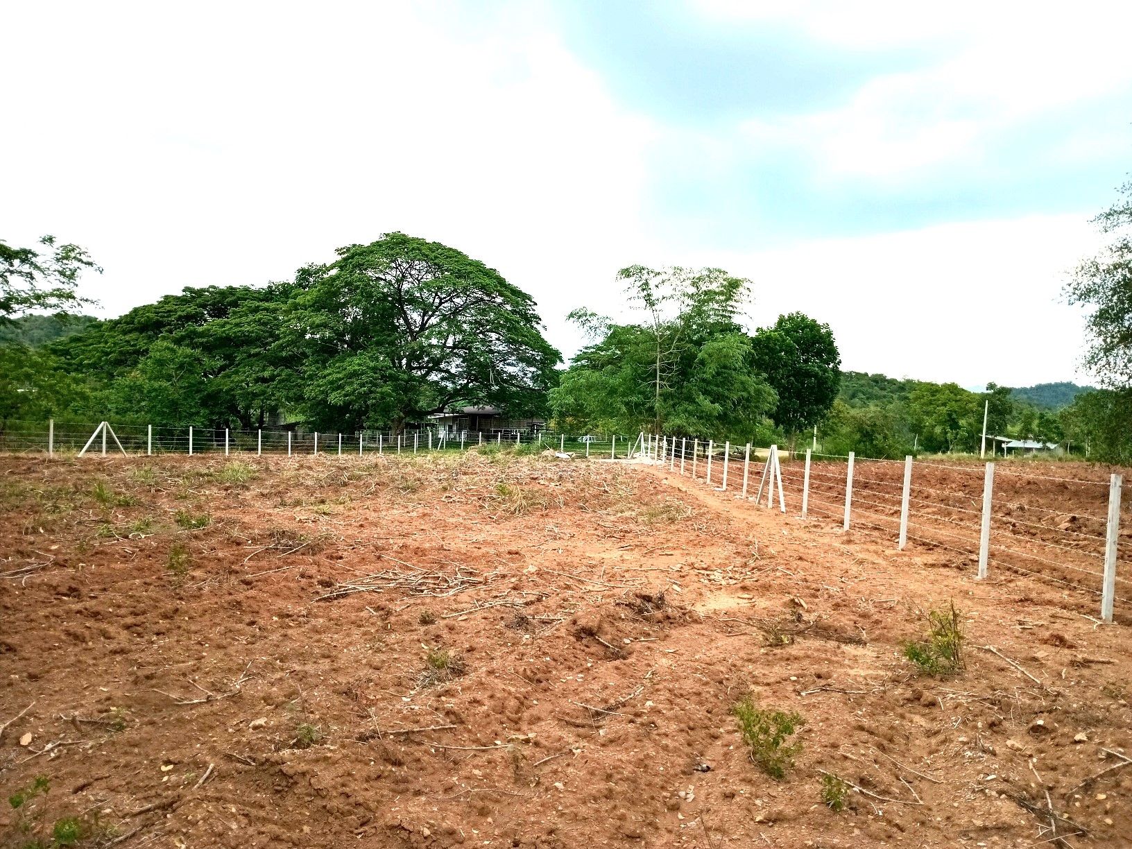 1-3-36 ไร่ โฉนดครุฑแดง ที่ดิน มวกเหล็ก สระบุรี