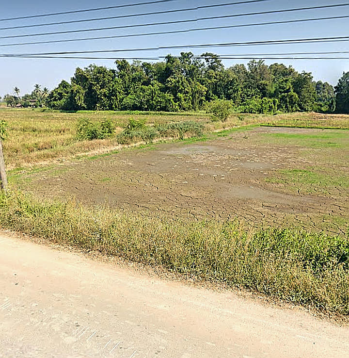 ที่นาแปลงสวย อุตรดิตถ์ 10-1-53