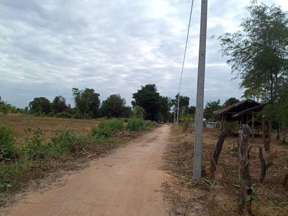 ที่ดินเขตเมืองขอนแก่น เหล่านาดี 1 งาน