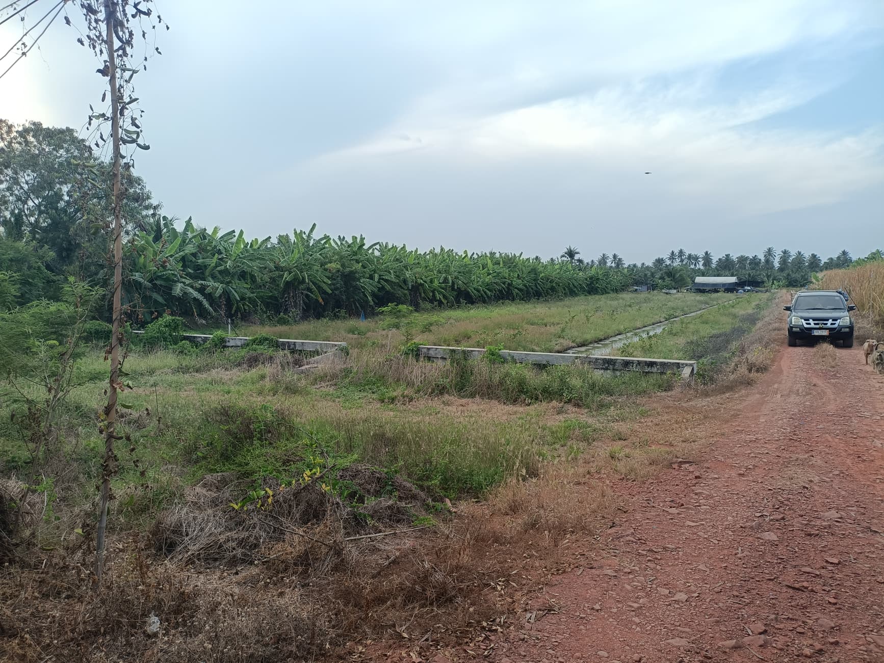 ที่ดิน อ.บ้านแพ้ว จ.สมุทรสาคร 4-1-53.6
