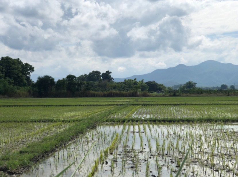 ขายที่ดินเชียงใหม่ อำเภอแม่วาง ที่ดินแปลงสวย ทำเลงาม เดินทางสะดวก เหมาะลงทุน เจ้าของขายเอง 21-1-30 ไร่.