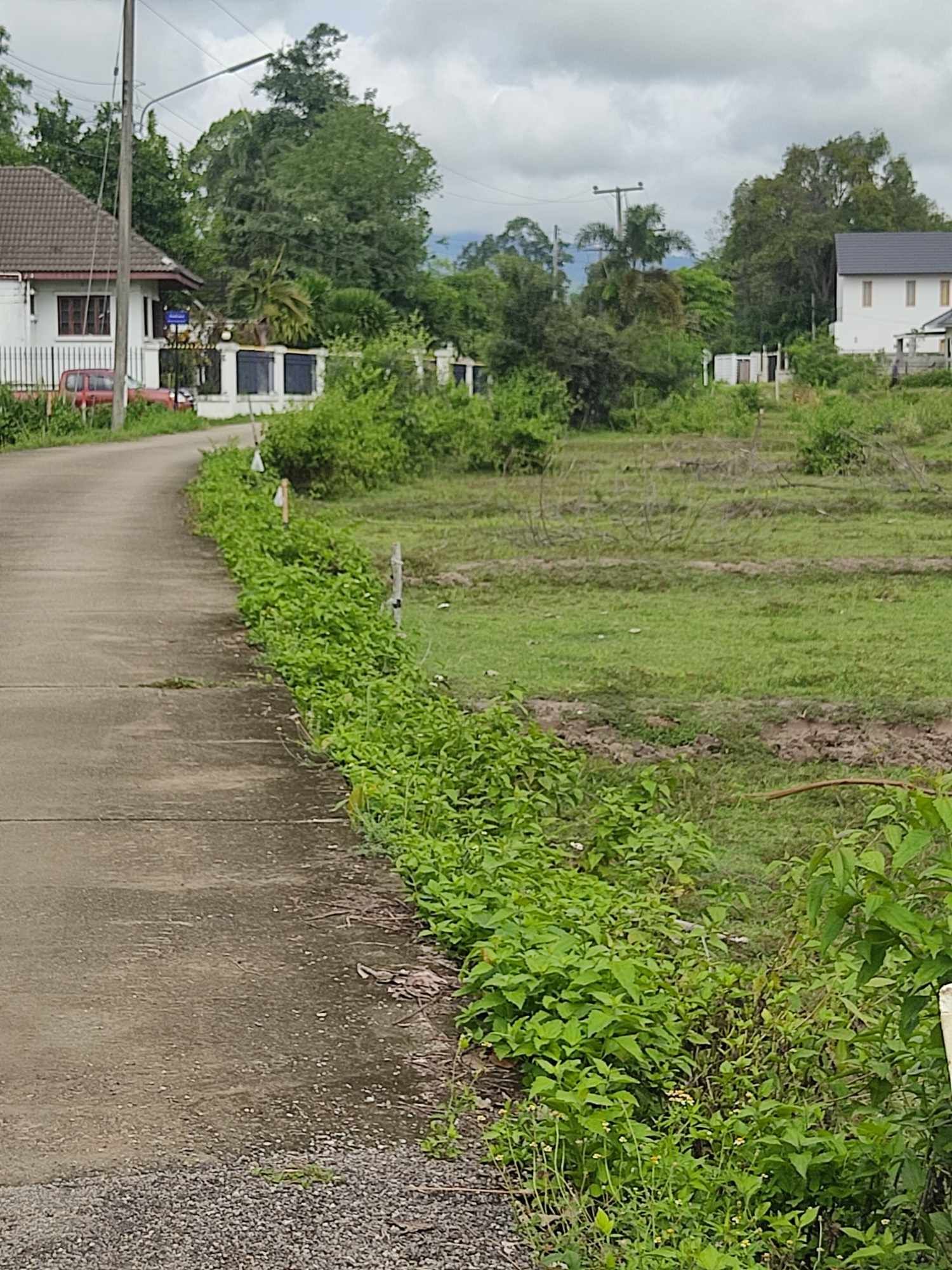 ขายที่ดิน บ้านบ่อปุ๊ ดอนแก้ว แม่ริม เชียงใหม่ 