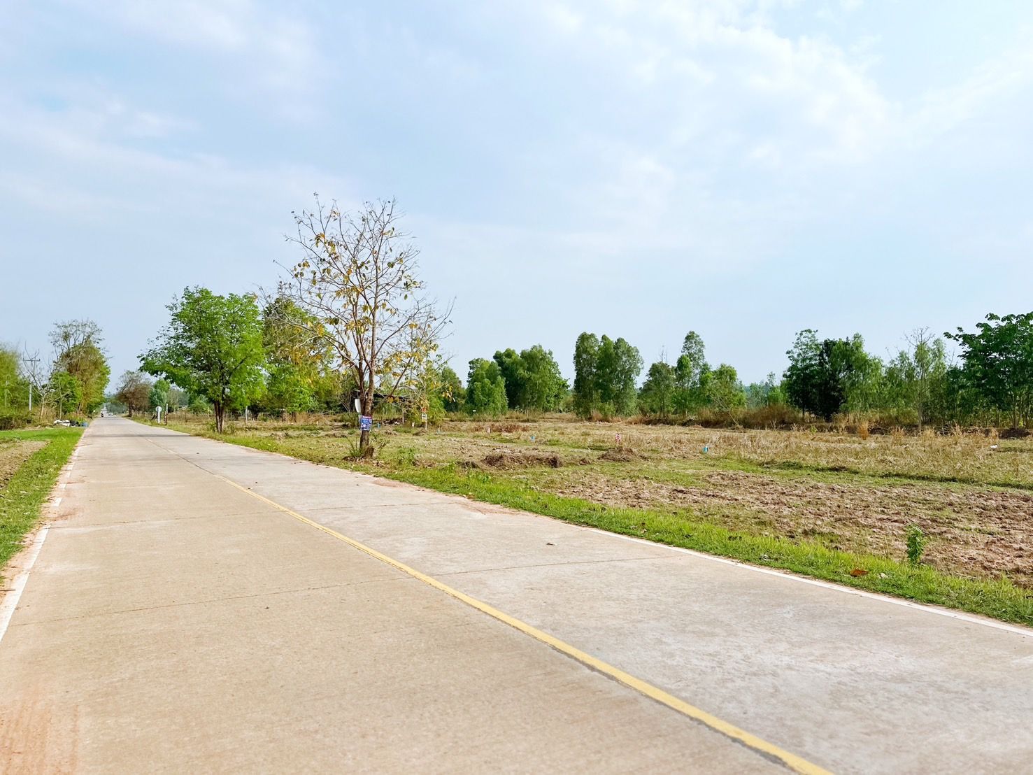 ขายที่ดินอุดรธานี ที่ดินแปลงสวย แบ่งแปลงเรียบร้อย ติดถนนคอนกรีต 
