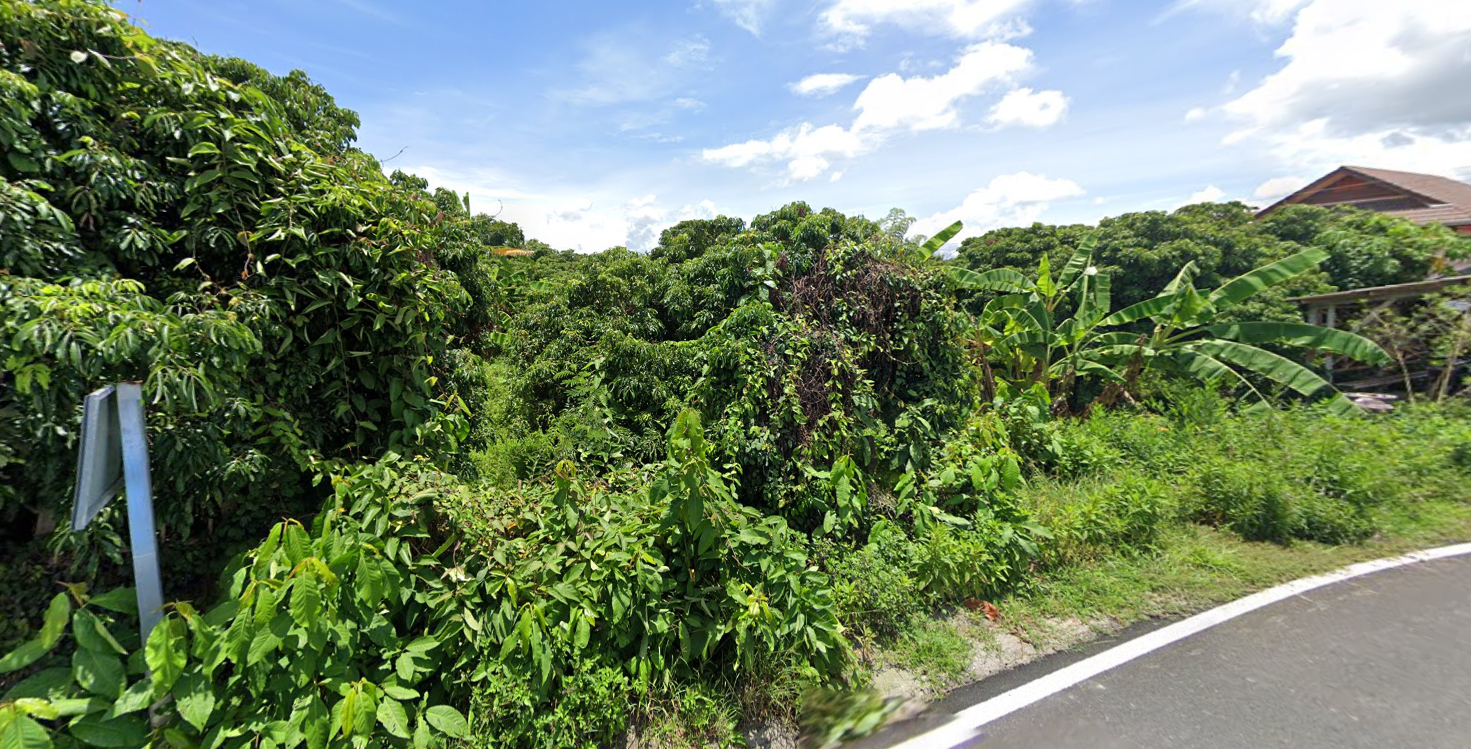 ขายที่ดินลำพูน เมืองลำพูน 2-0-74