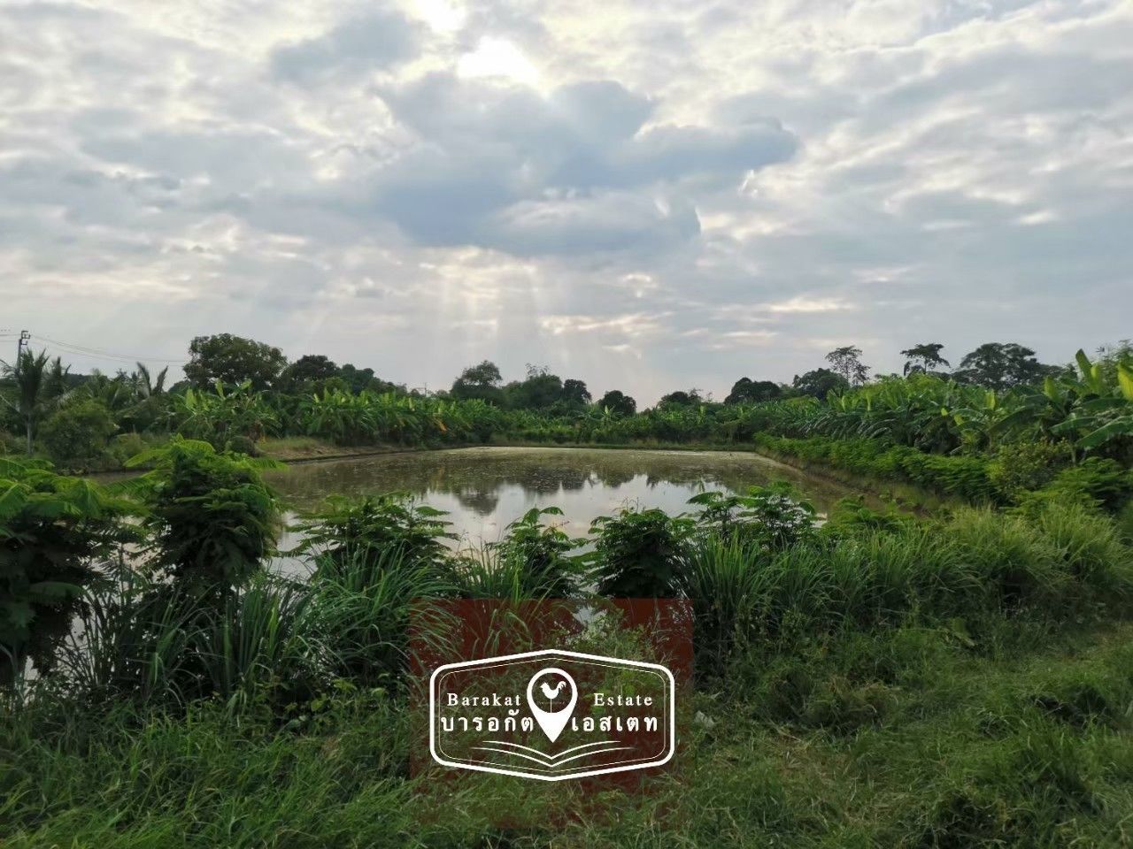 ขายที่ดินหนองจอง กทม. แปลงสวย ราคาสุดพิเศษ