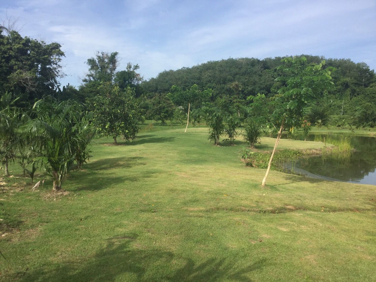 ที่ดิน ติดถนนเพชรเกษม จ.พังงา สไตลืบ้านสวน แนวหุบเขา 10 ไร่ 1 งาน 79.7 ตรว.