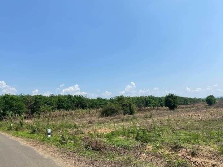 ขายที่ดิน เพชรบูรณ์ 1-2-25 ไร่