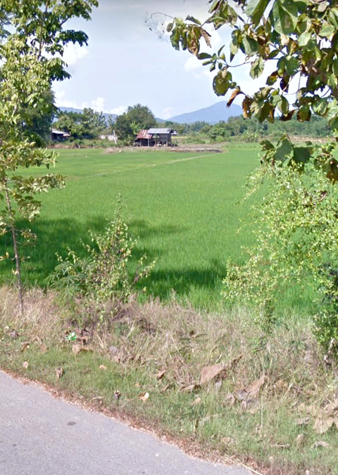 ที่นาวิวสวย อุตรดิตถ์ 1-3-93
