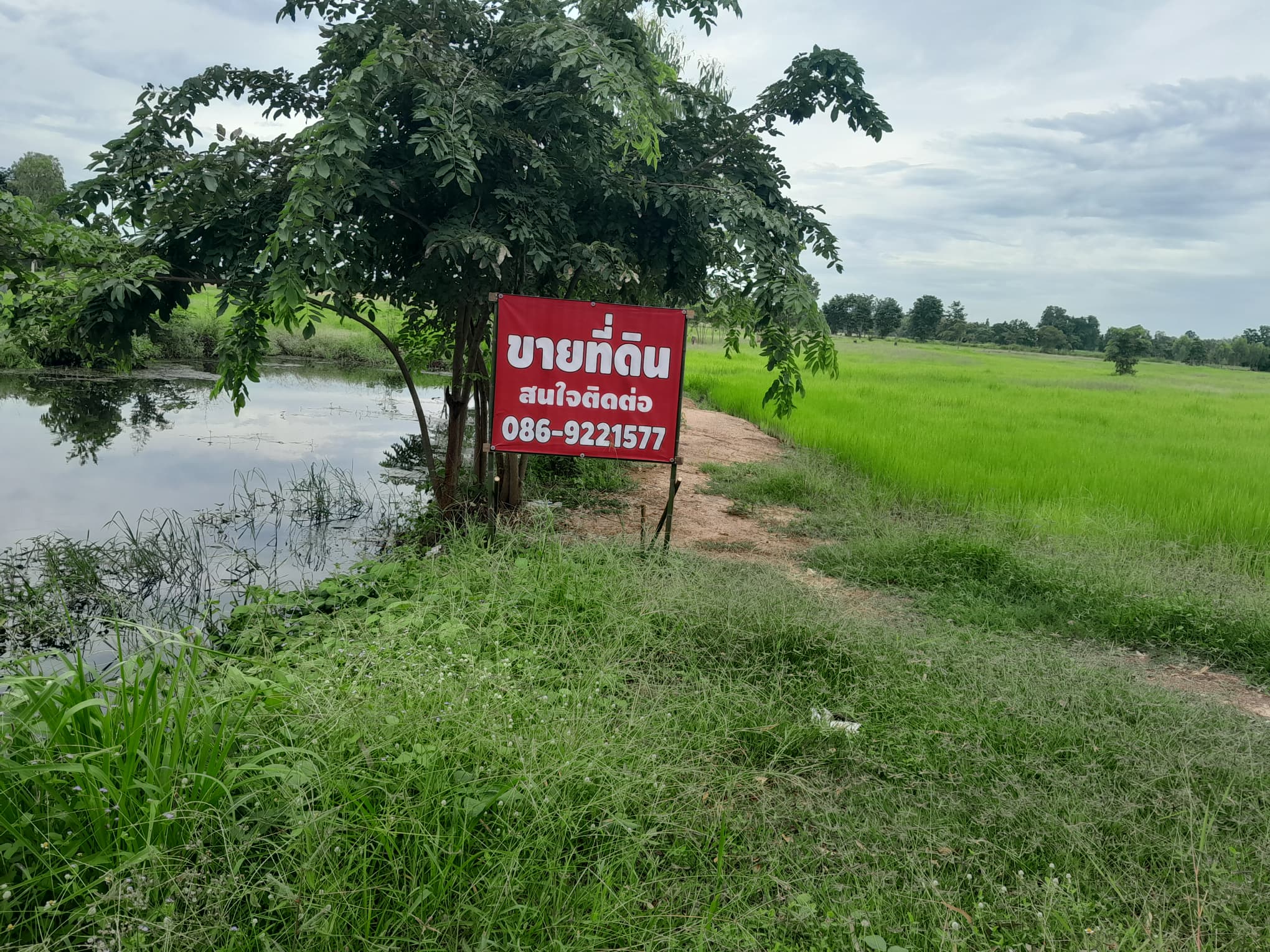 ขายที่ดินพิจิตร จ.พิจิตร อ.ตะพานหิน 28-1-93 ไร่