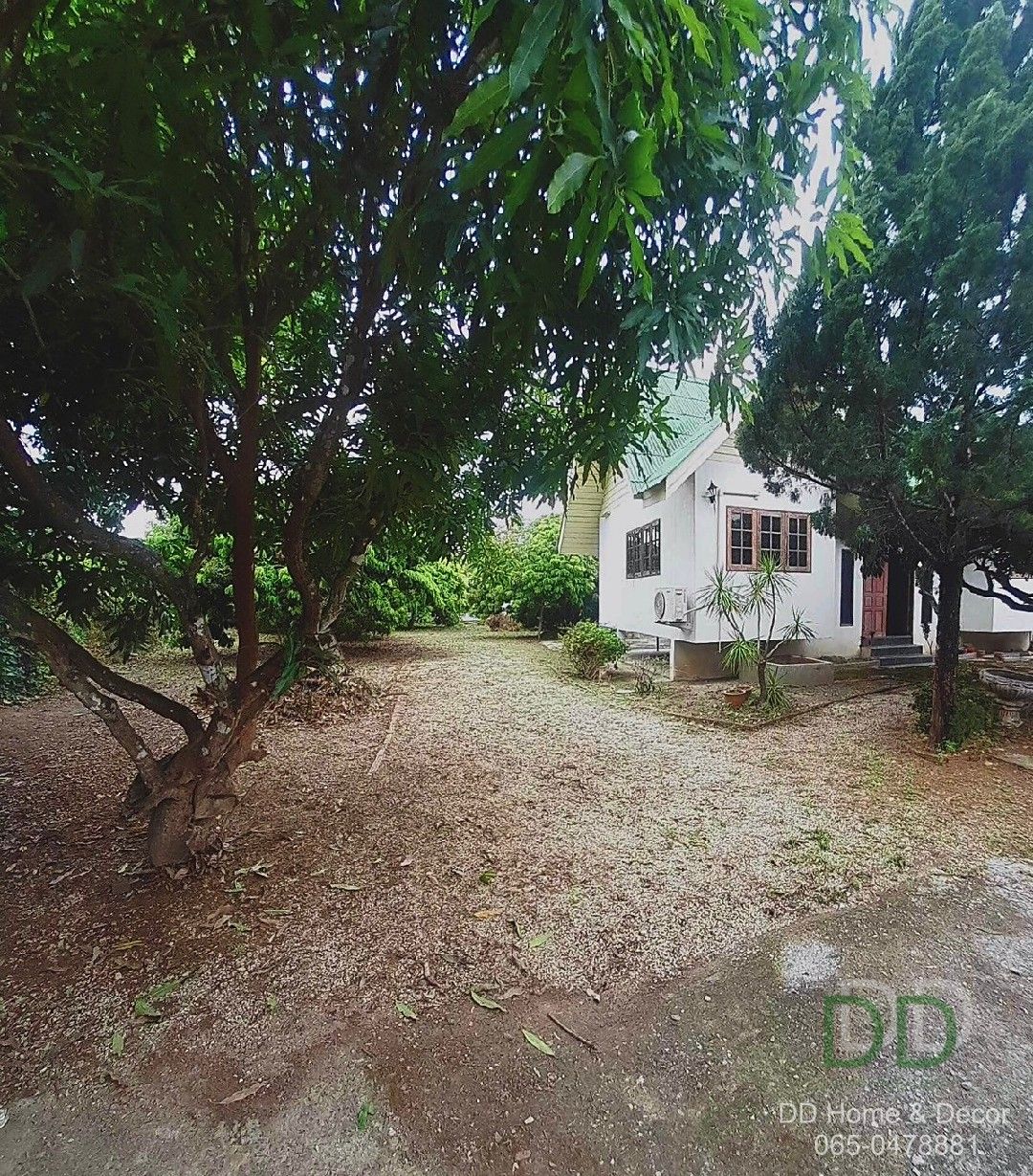 DD-0221 ขายบ้านสวน 237.2 ตร.วา สภาพดี ต.ริมปิง อ.เมือง จ.ลำพูน