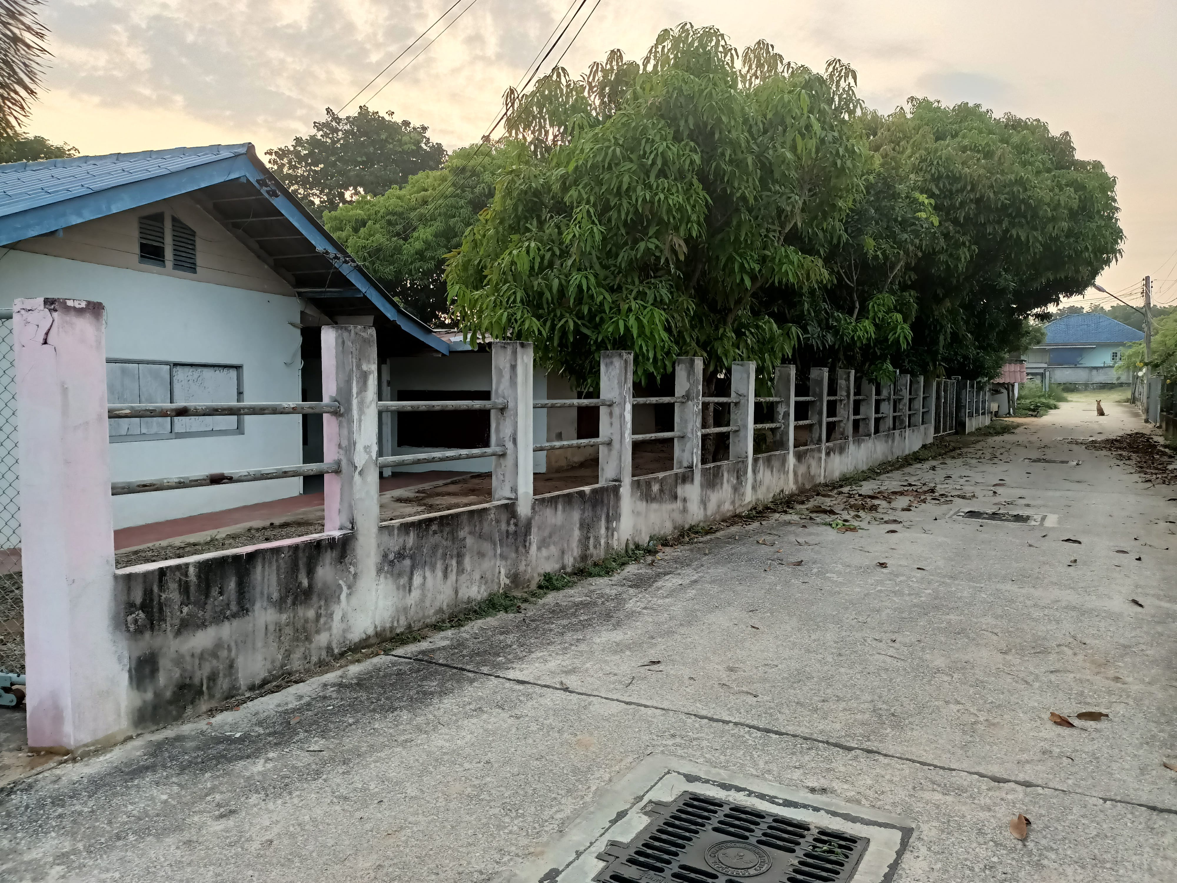 ขายที่ดิน ใกล้วัดหนองเกตุน้อย