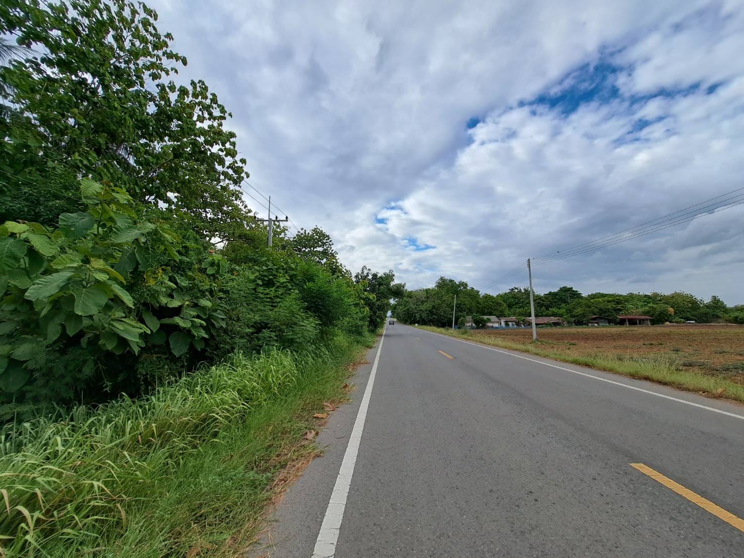 ที่ดินแปลงสวย พัฒนานิคม ลพบุรี 24-3-71