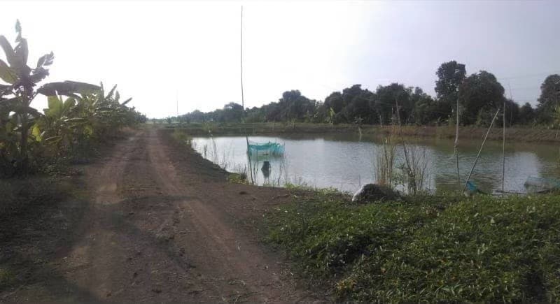ที่ดินเปล่าปทุมธานี จ.ปทุมธานี อ.หนองเสือ 39-3-97.5 ไร่