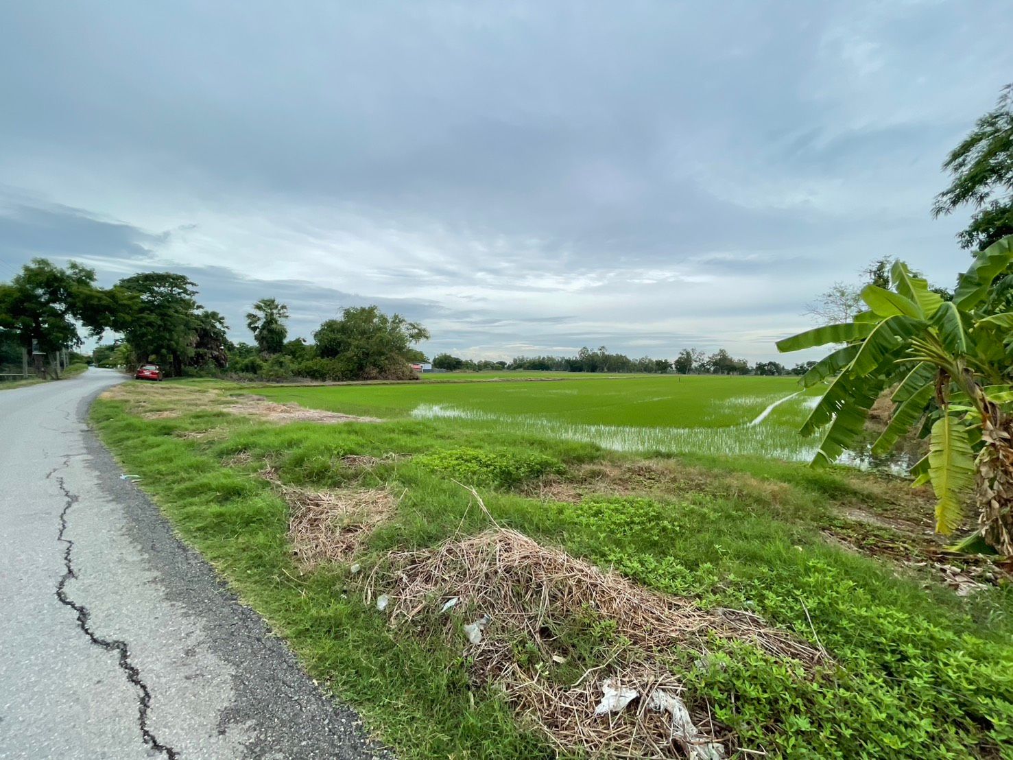 ขายที่ดิน หนองจอก กทม. 26-3-84 ไร่