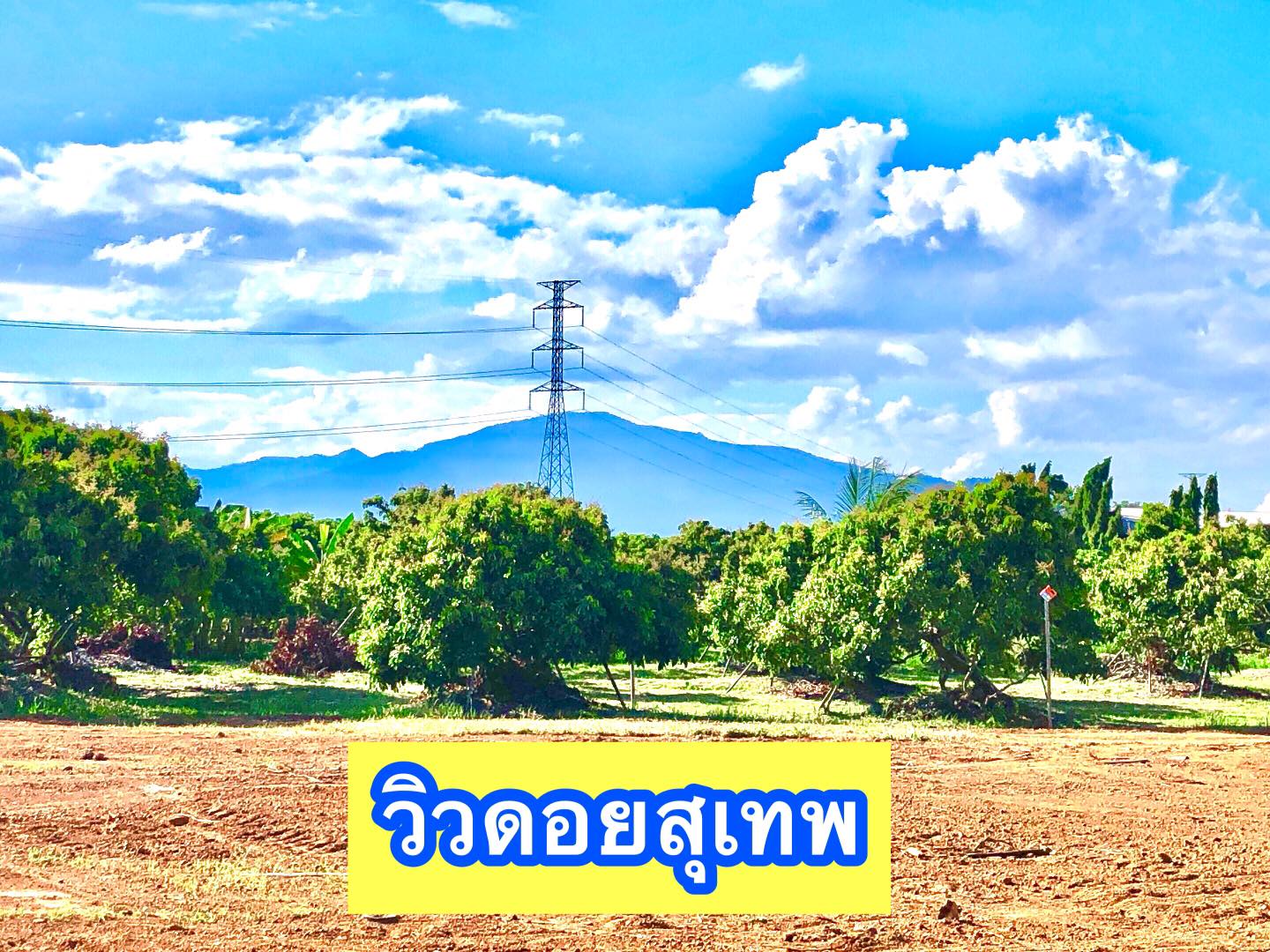 ขายที่ดินเชียงใหม่ อ.หางดง 71 ตรว.