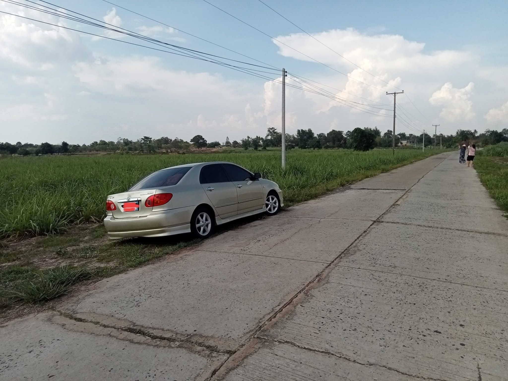 ขายที่ดิน7ไร่ 