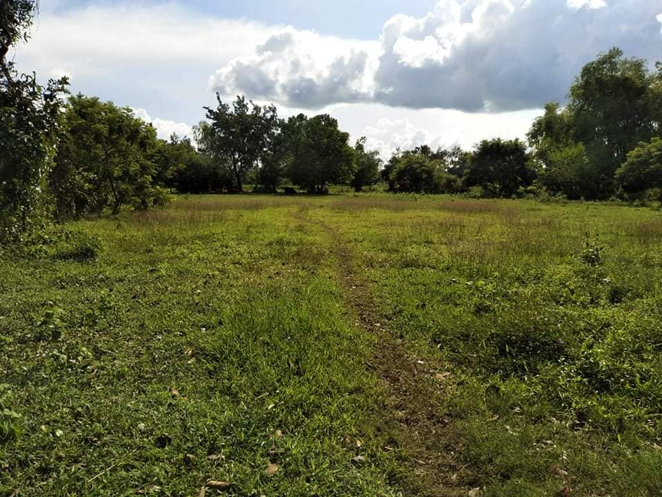 ที่ดินชุมชน ต.แสนสุข อ.วาริน จ.อุบล  เนื้อที่ 2 ไร่