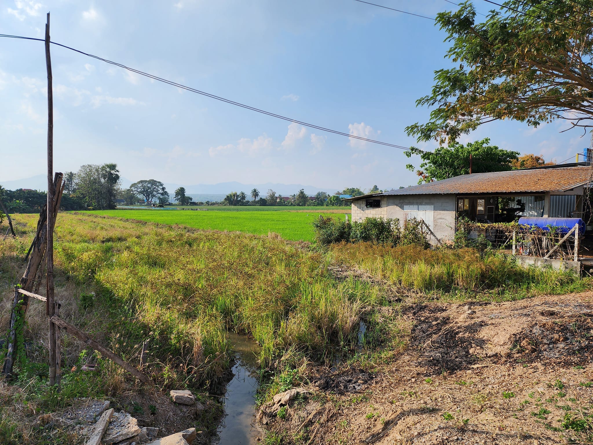 ขายที่ดินแปลงสวยวิวงาม อ.แม่วาง จ.เชียงใหม่
