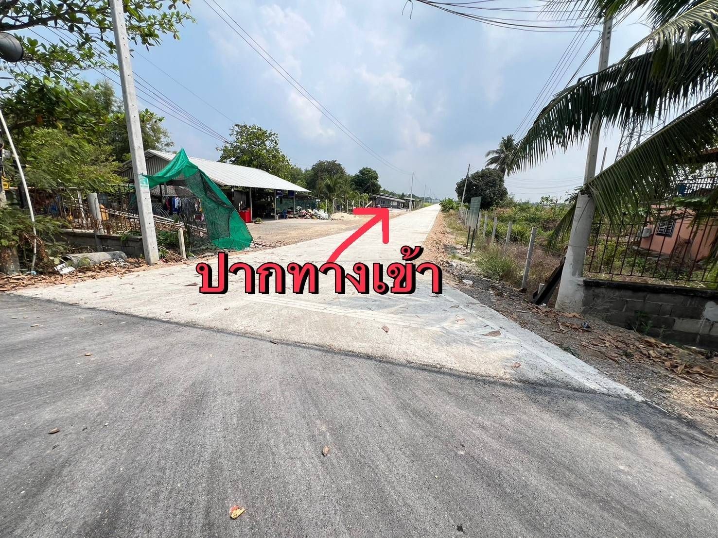 ขายที่ดินปทุมธานี ขายด่วนคลอง 12 หนองเสือ ปทุมธานี 3-0-0