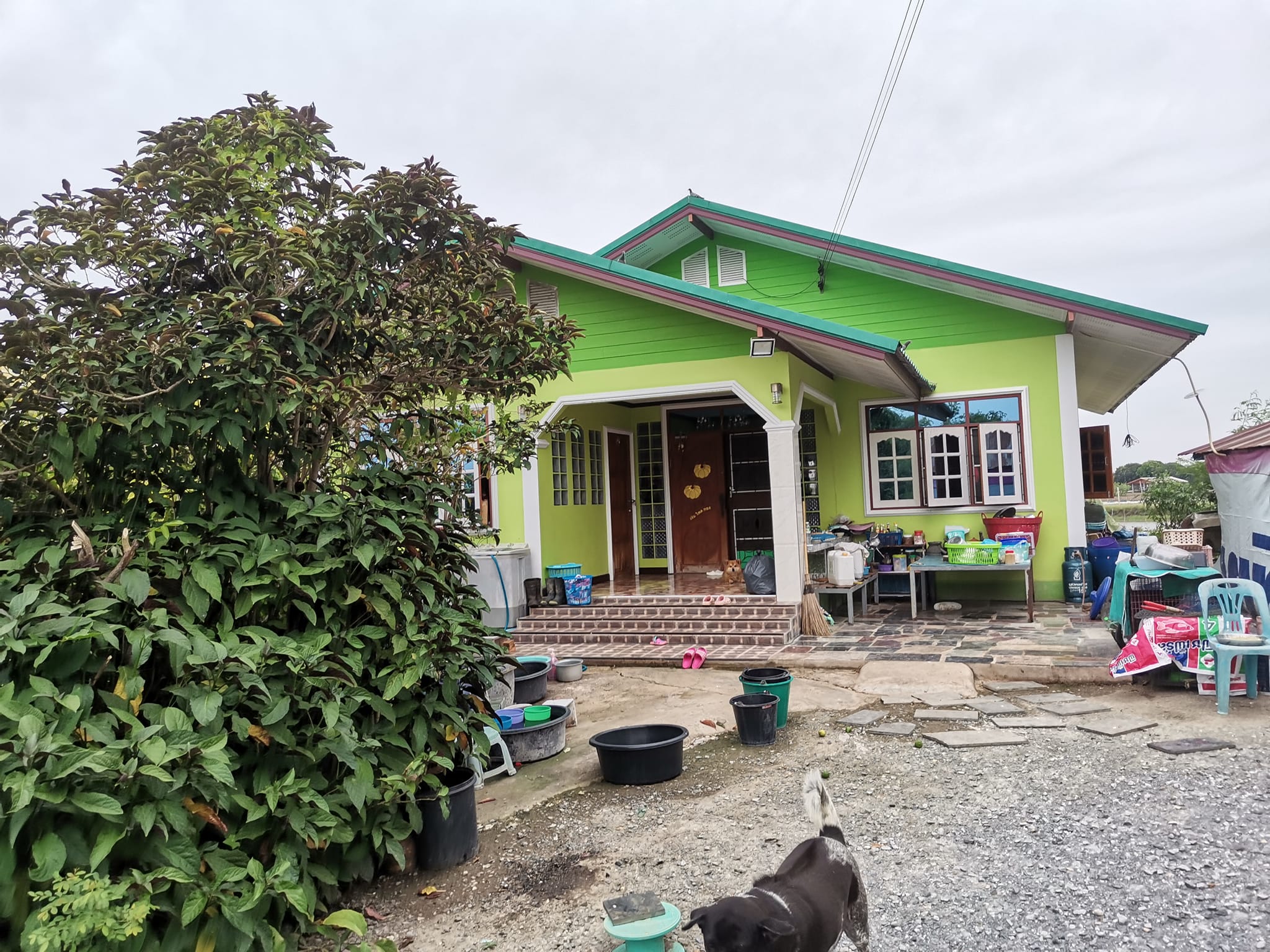 ขายบ้านนครปฐม เมืองนครปฐม 4-3-14
