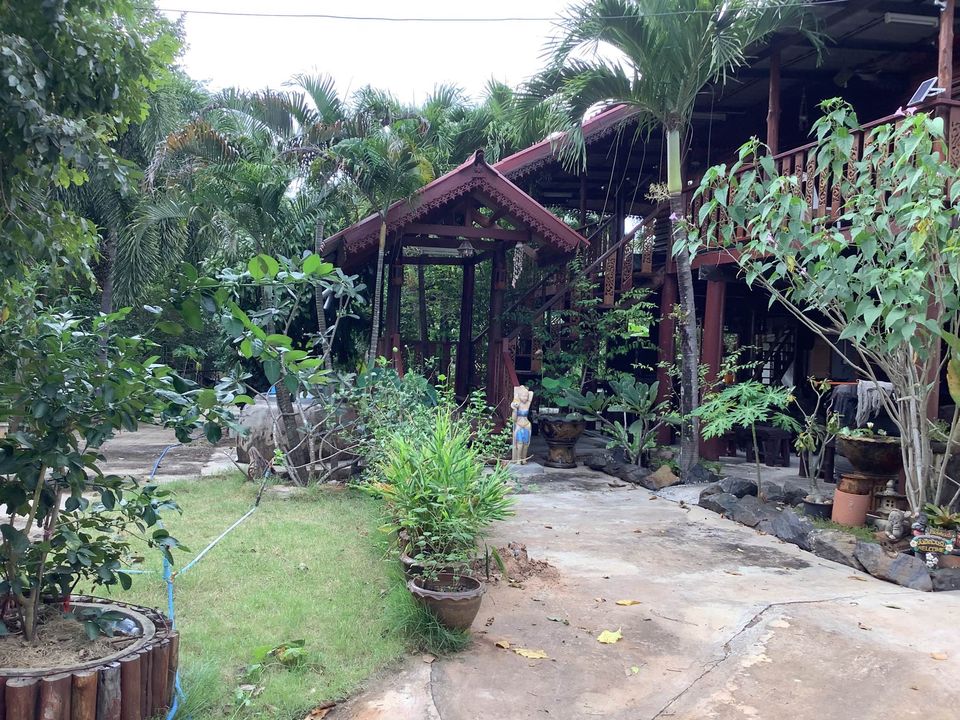 บ้านทรงไทย สวย ขอนแก่น พื้นที่ 1 ไร่