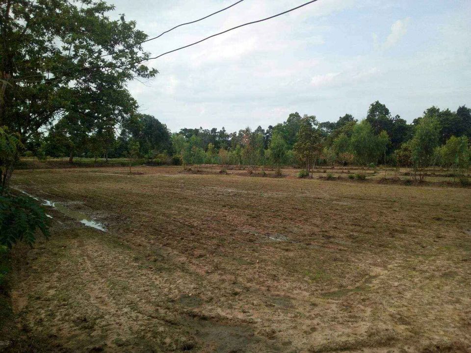 ที่นา 24ไร่   ติดห้วยตาเทียว บ้านตุ ต.กาบิน อ.กุดข้าวปุ้น อุบล