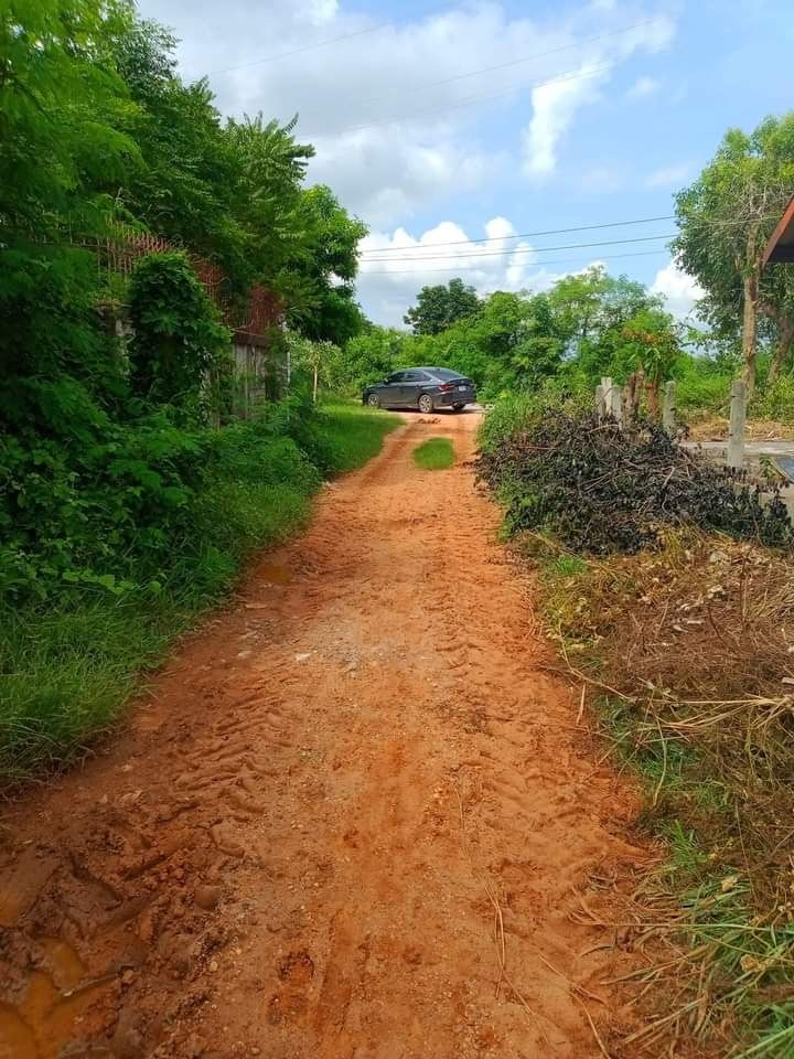 ขายที่ดิน เมืองชัยภูมิ ชัยภูมิ 4-3-29
