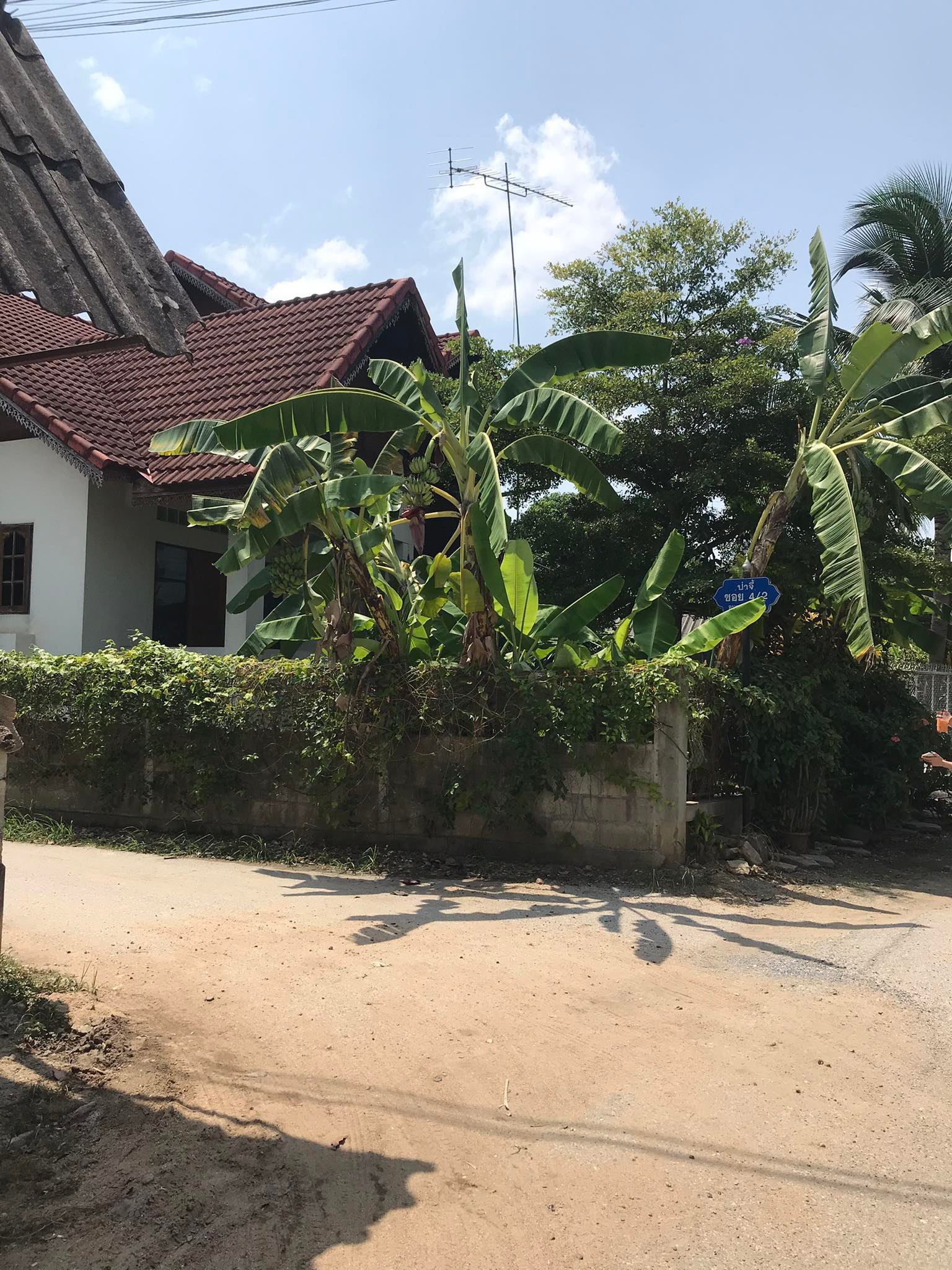 บ้านเดี่ยว 2 ชั้น บ้านป่าจี้ ม.1 ต.ทุ่งสะโตก อ.สันป่าตอง จ.เชียงใหม่ 