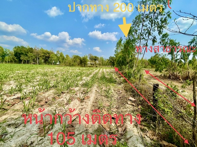 ที่ดินการเกษตร|บ้านสวน ราคาถูกไร่ละ95,000 อุดรธานี
