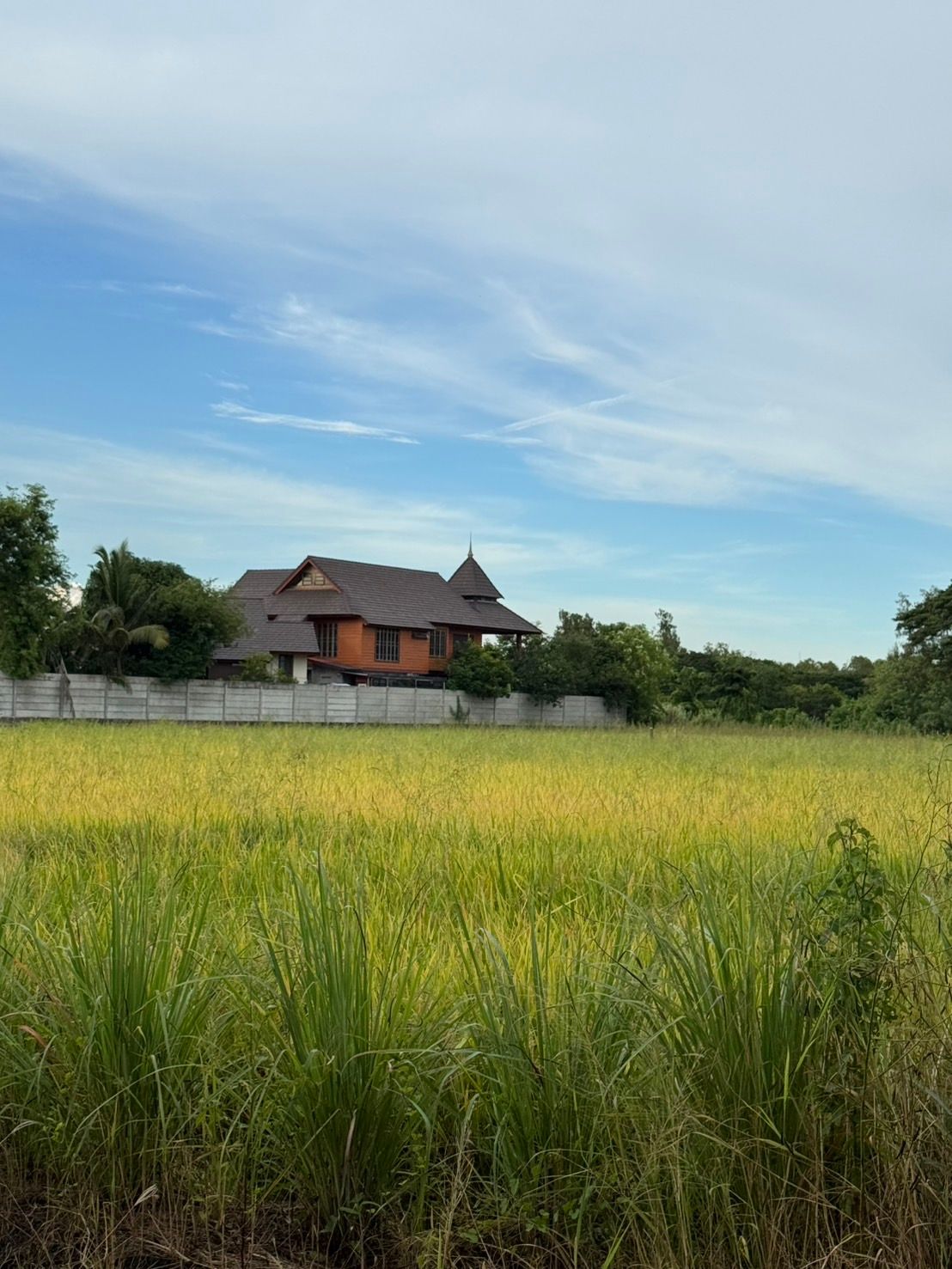 ประกาศขายที่ดินพุทธมณฑล นครปฐม