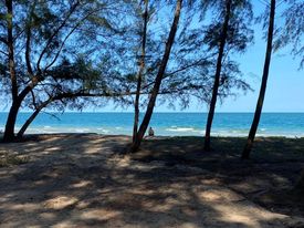 ที่ดินใกล้ชายหาด บางสะพาน ประจวบคีรีขันธ์ 2 งาน