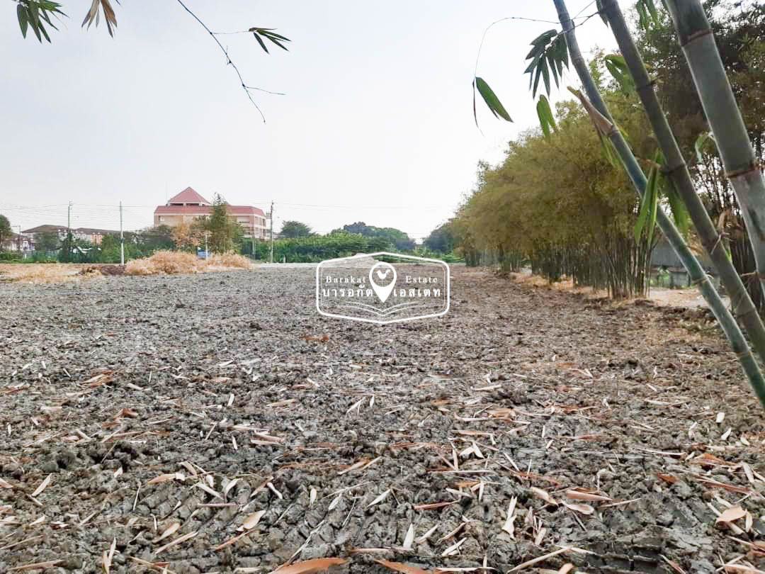 ขายที่ดินกรุงเทพฯ เขตคลองสามวา แปลงทำเลทอง ถมแล้ว เหมาะกับการลงทุนธุรกิจ เขตคลองสามวา กรุงเทพฯ