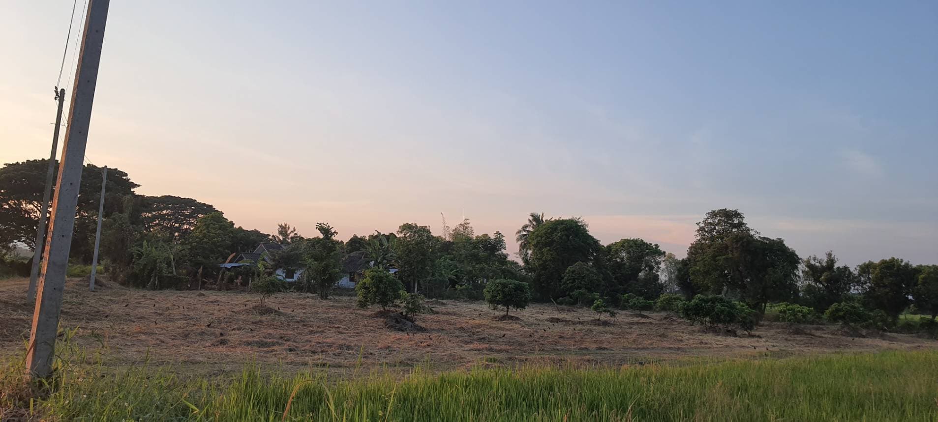 ที่ดินเปล่า เชียงราย 11-2-43