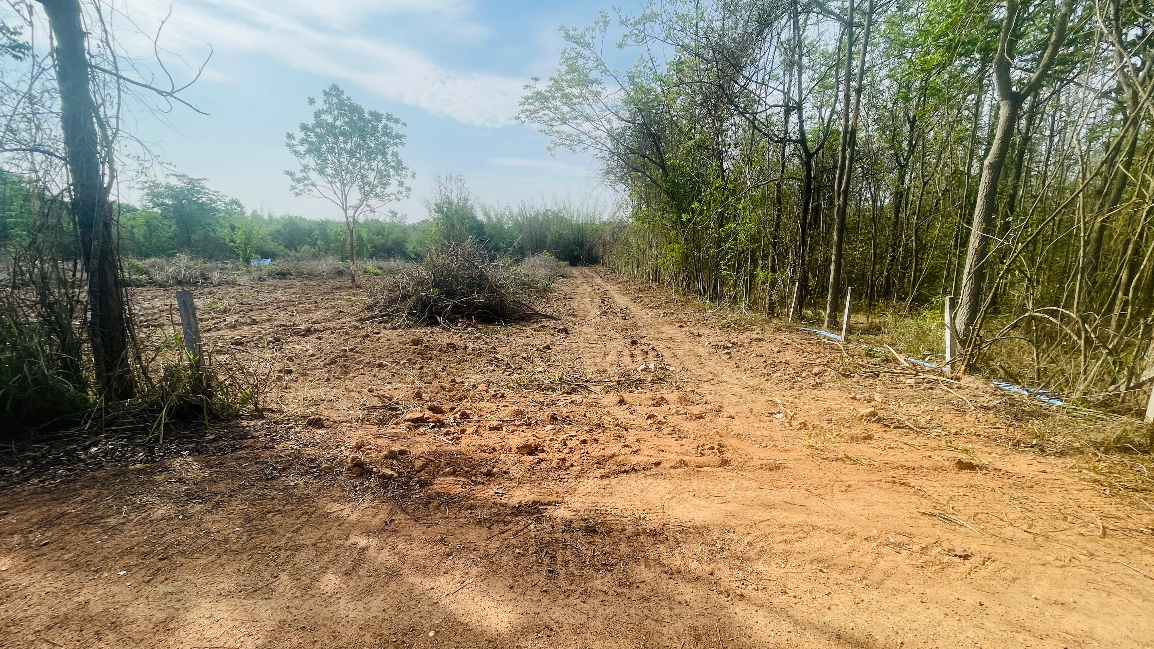 ขายที่ดิน 19ไร่ หลังที่ดินติดลำภาชี อ.สวนผึ้ง จ.ราชบุรี