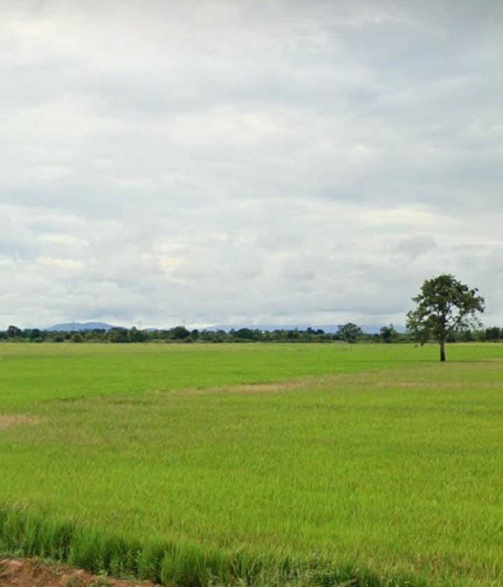 ขายที่นาราคาถูก อุตรดิตถ์ 6-3-83