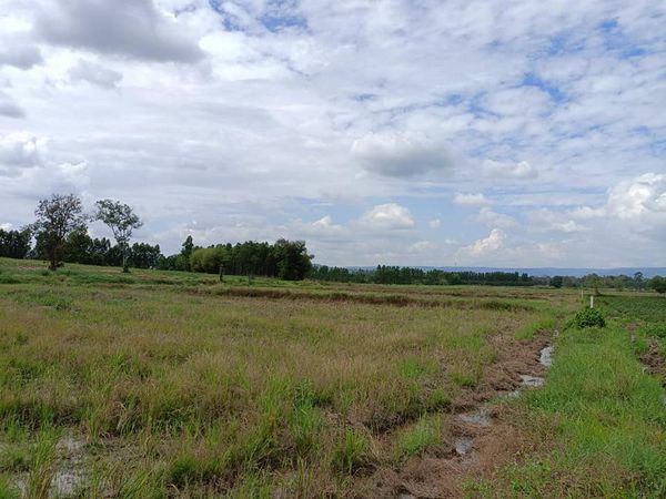 ที่ดินแปลงสวย วิวดี นาดี ปราจีนบุรี 4-0-92