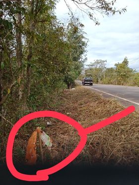 ที่ดินอยู่อ.บ้านม่วง.จ.สกลนคร 26-2-27 ไร่