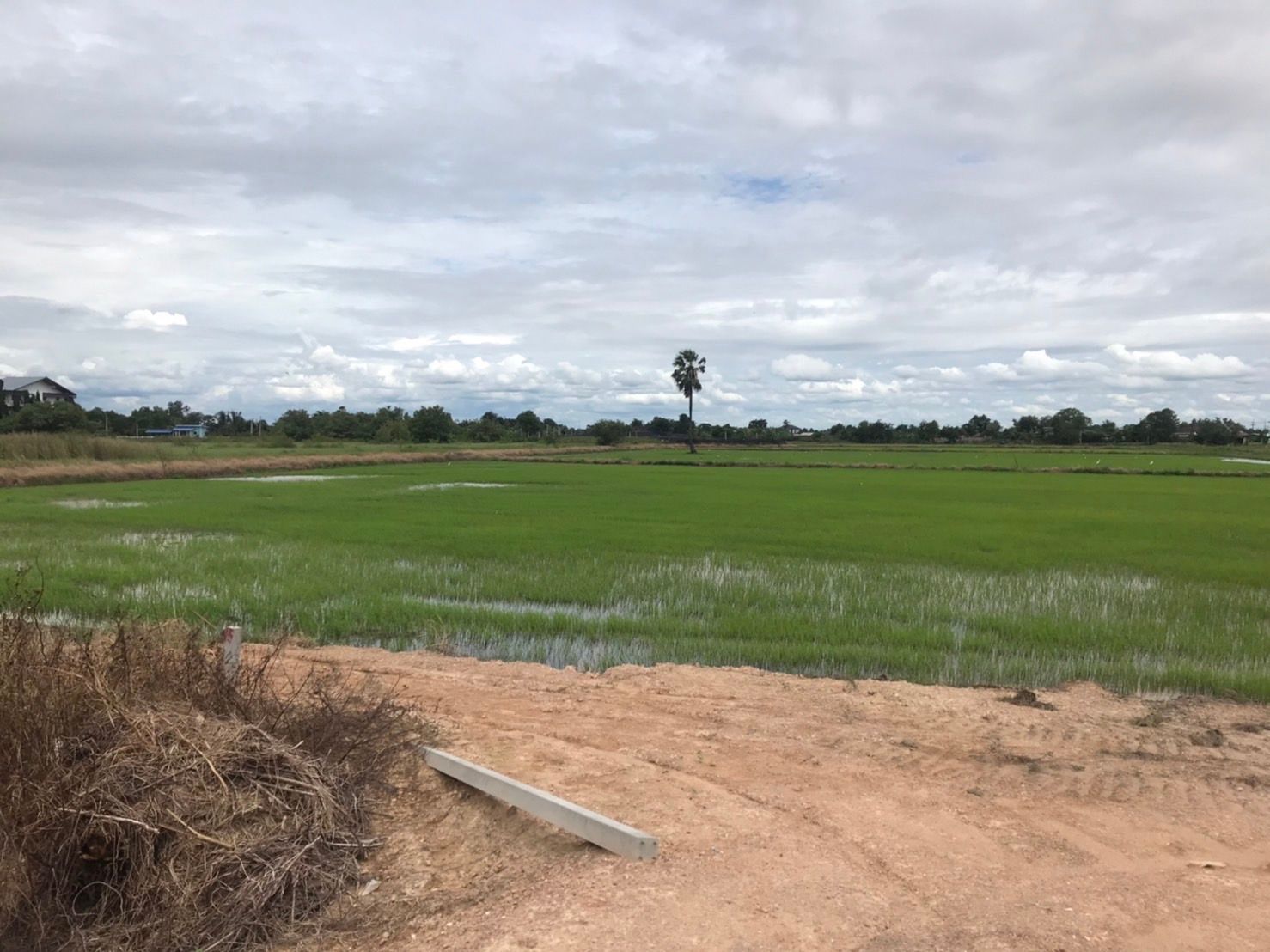 ที่ดินติดถนน 304 ทำเล EEC ตัวจริง! รถผ่านหลักหมื่น/วัน โอกาสทองของนักลงทุน 