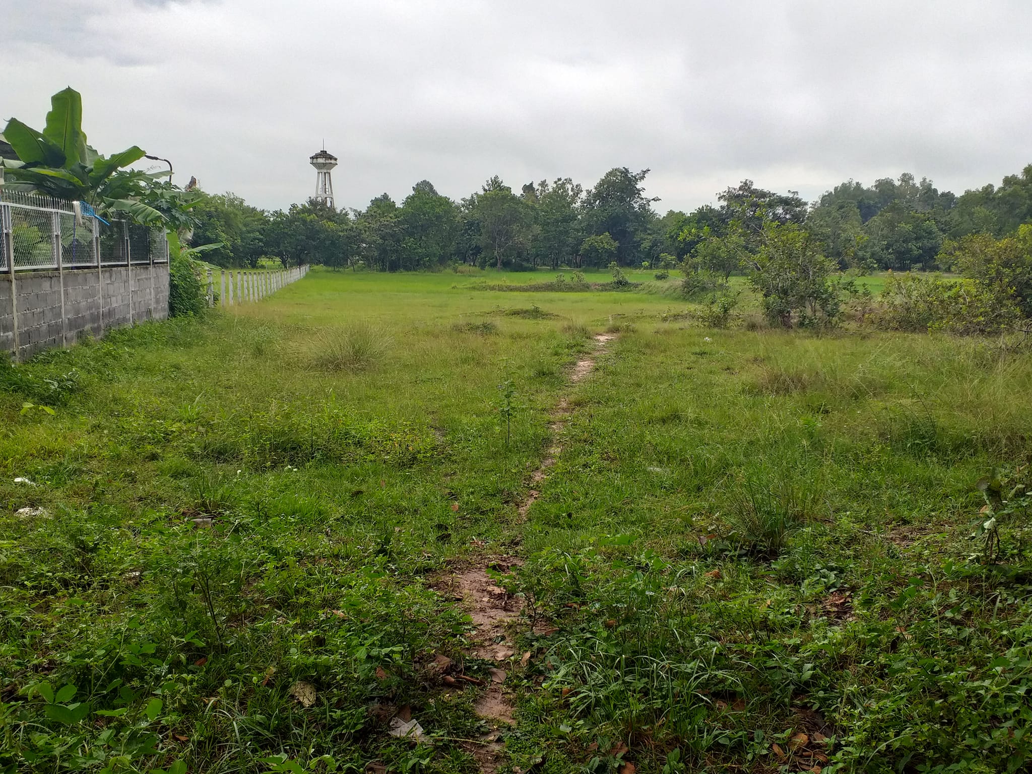ขายที่ดินอุบลฯ เมืองอุบลฯ
