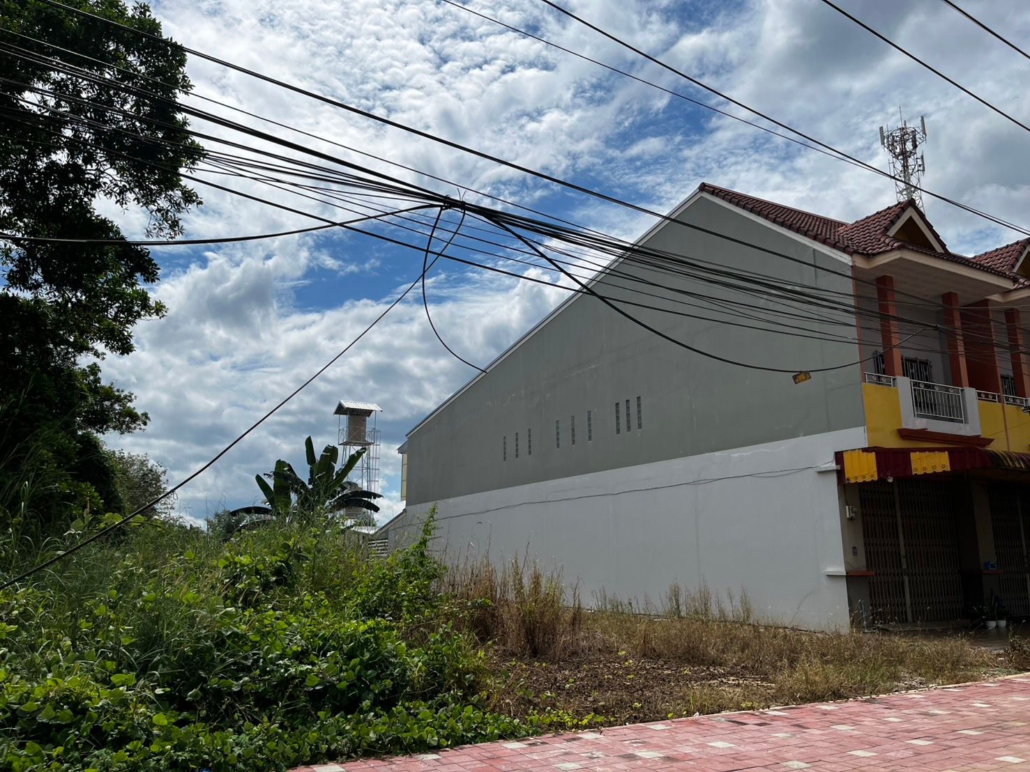 ขายที่ดินตรัง อำเภอปะเหลียน ที่ดินแปลงสวย ติดถนนสาธารณะ สาธารณูปโภคเข้าถึง น่าลงทุน 0-2-0 ไร่.
