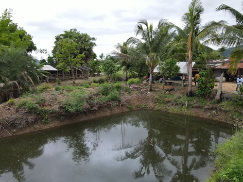 ขายบ้านพร้อมที่ดินราคาถูกวิวภูเขา น้ำไม่ท่วม