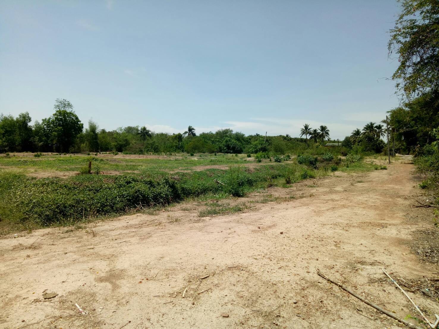 ขายที่ดิน สุพรรณบุรี 3-1-99